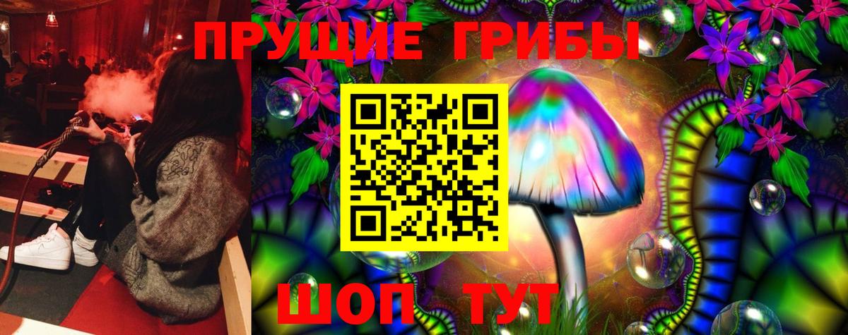 Галлюциногенные грибы Psilocybe  Вход с VPN  Реутов 
